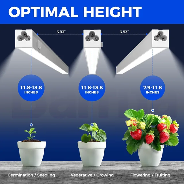 Barrina MC05 1-foot 5000K T5 grow lights, four pack, product view 3